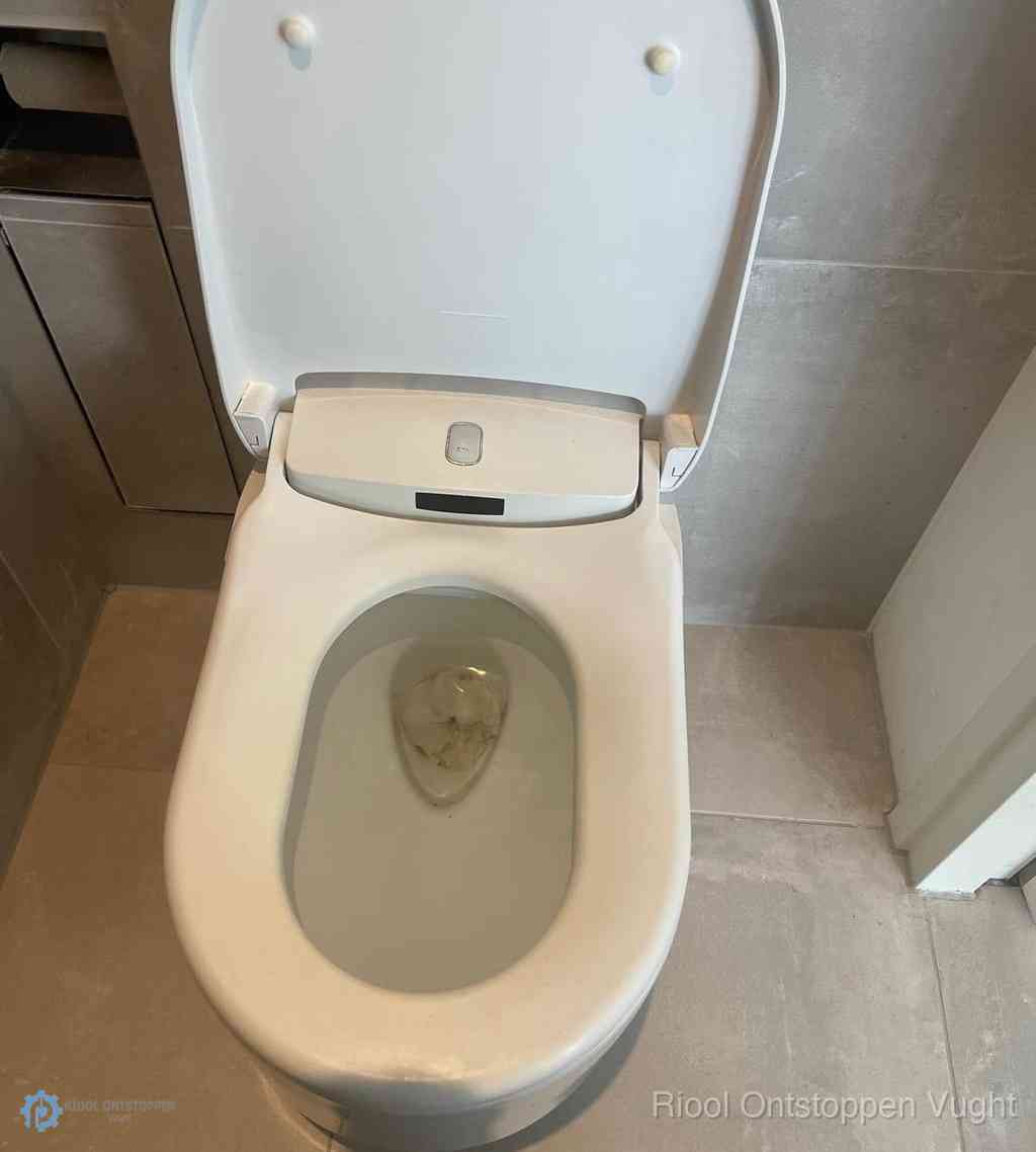 Toilet Ontstoppen Vught
